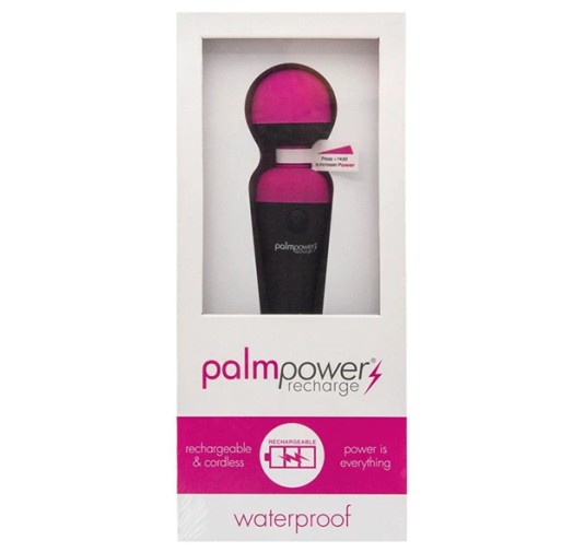 Masażer - PalmPower Recharge Wand Massager